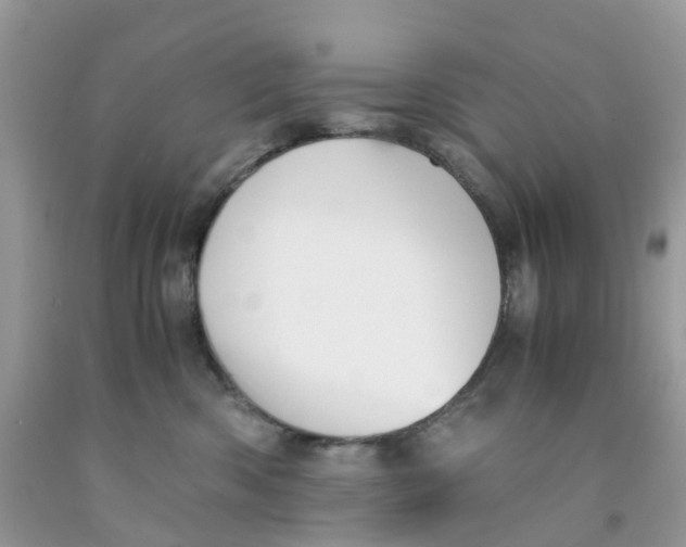 X0000091540426200709141459