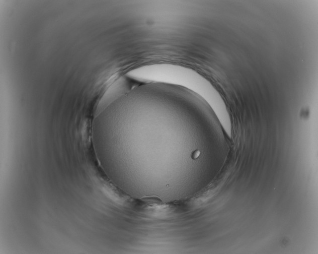 X0000091540428200709141459