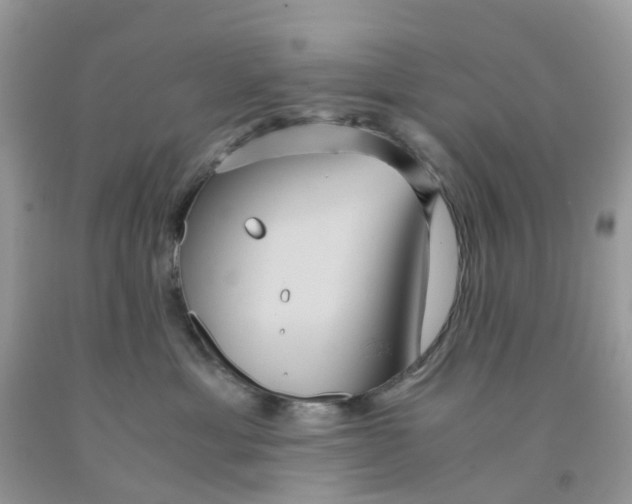 X0000091540429200709141459