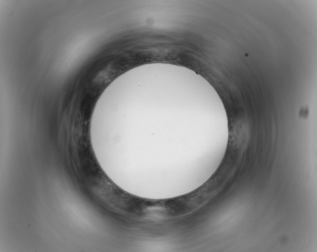 X0000091540430200709141459