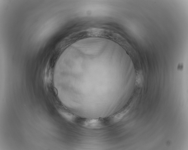 X0000091540431200709141459