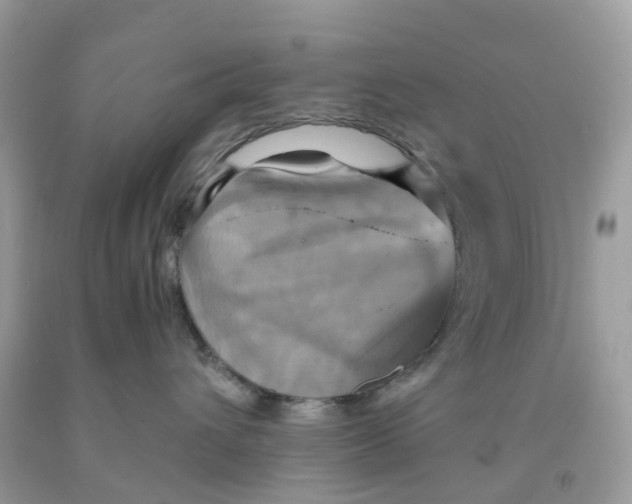 X0000091540432200709141459