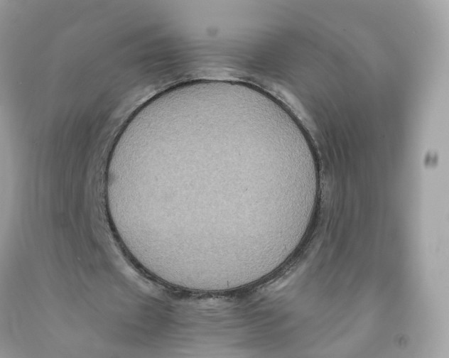 X0000091540433200709141458