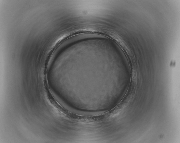 X0000091540434200709141458