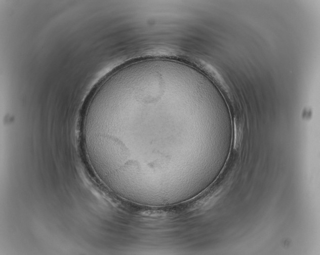 X0000091540435200709141458