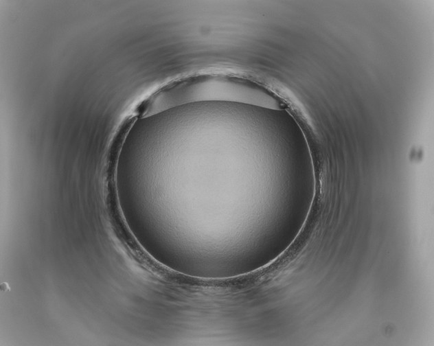 X0000091540436200709141458