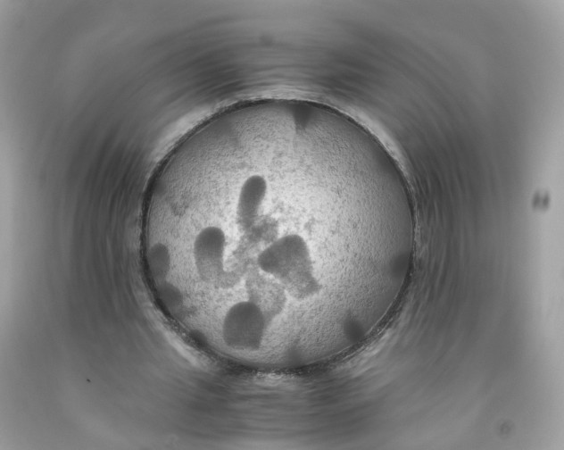 X0000091540437200709141458