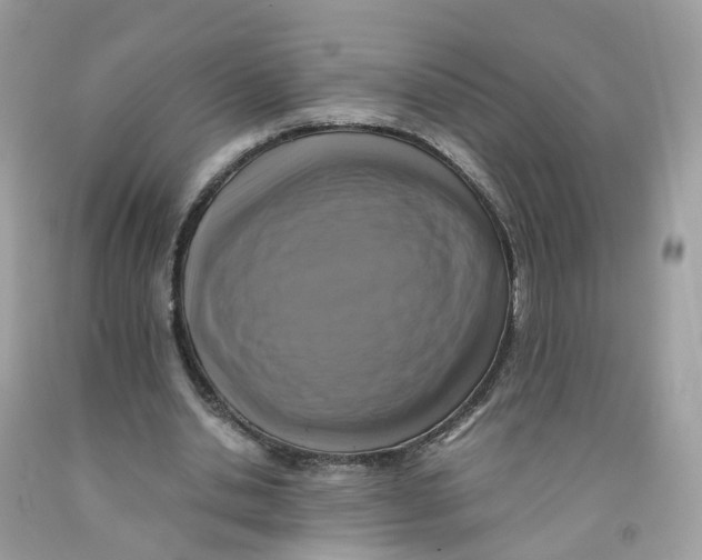 X0000091540438200709141458