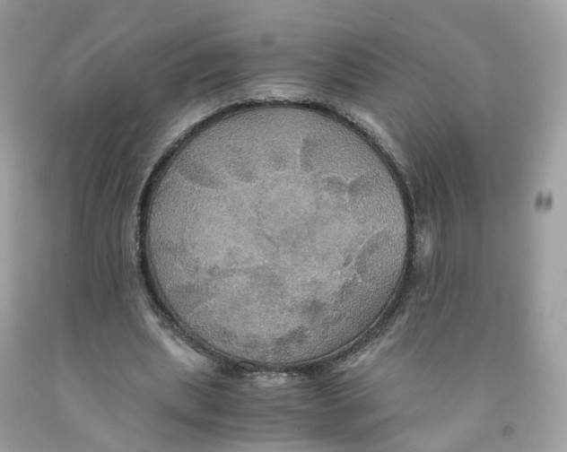 X0000091540439200709141458