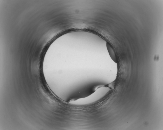 X0000091540440200709141458