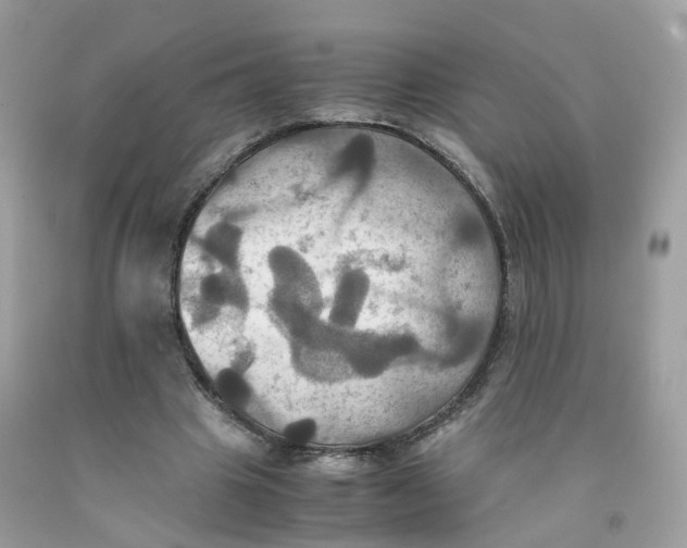 X0000091540441200709141459