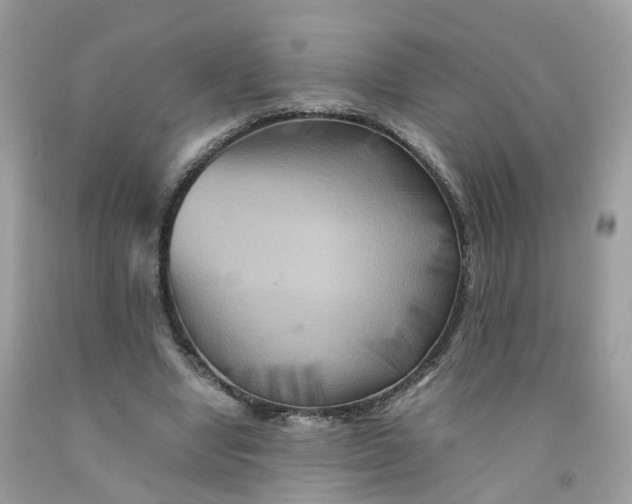 X0000091540442200709141459