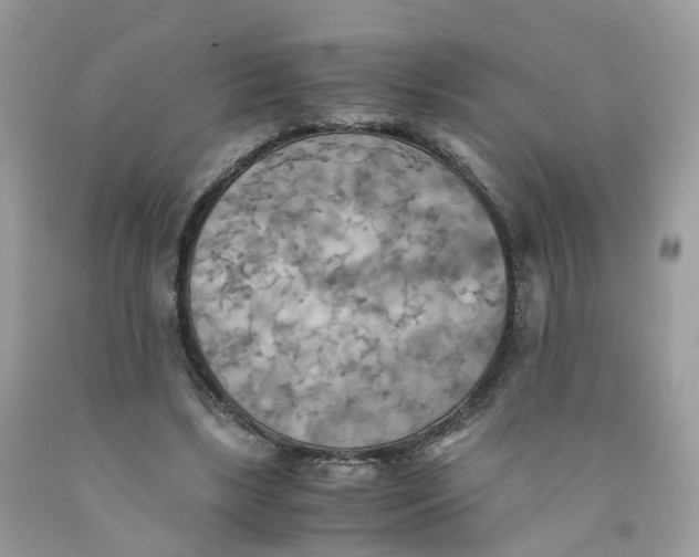 X0000091540443200709141459