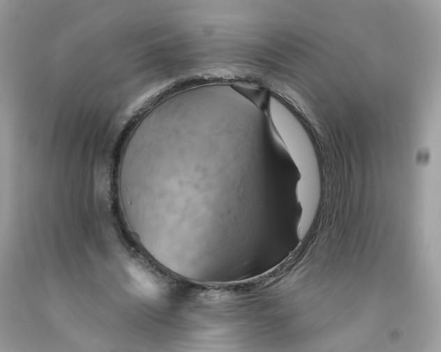 X0000091540444200709141459