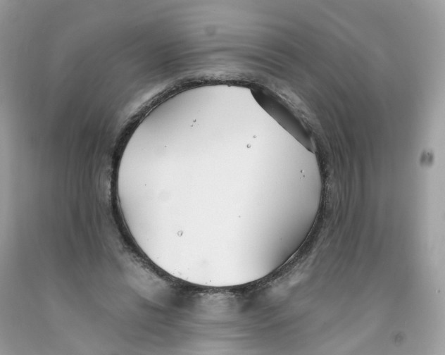 X0000091540446200709141459