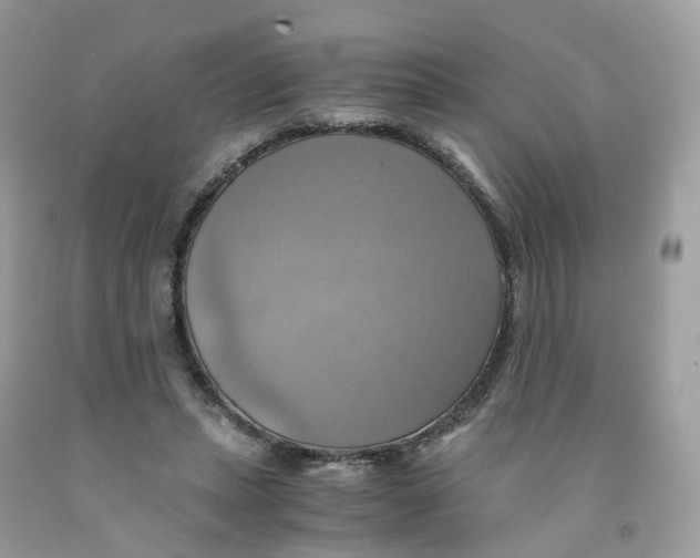 X0000091540447200709141459