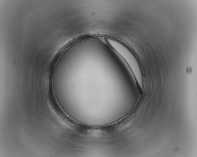 X0000091540448200709141459