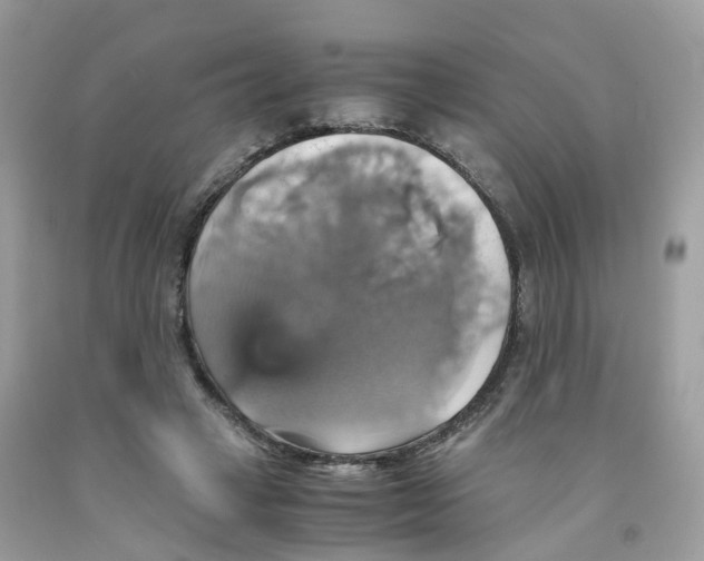 X0000091540449200709141459