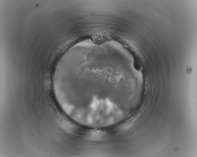 X0000091540453200709141459