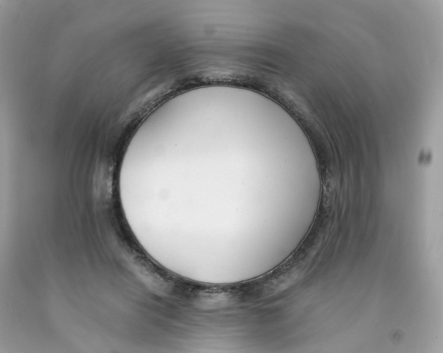 X0000091540454200709141459