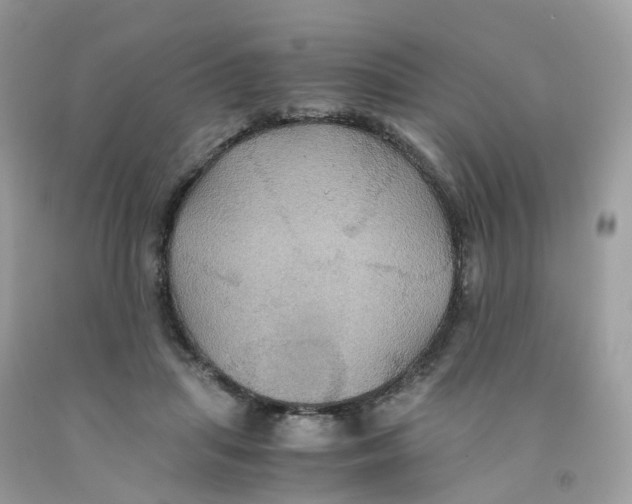 X0000091540455200709141459