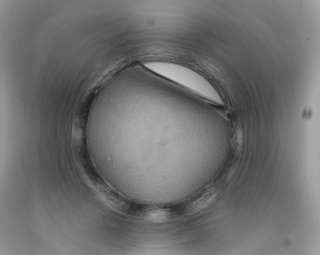 X0000091540456200709141459