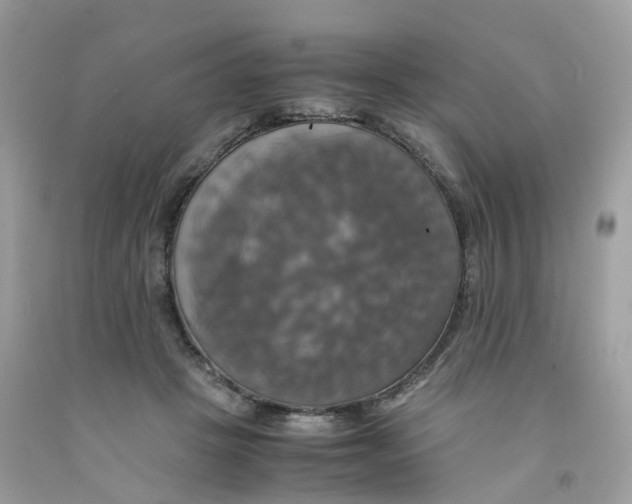 X0000091540457200709141459