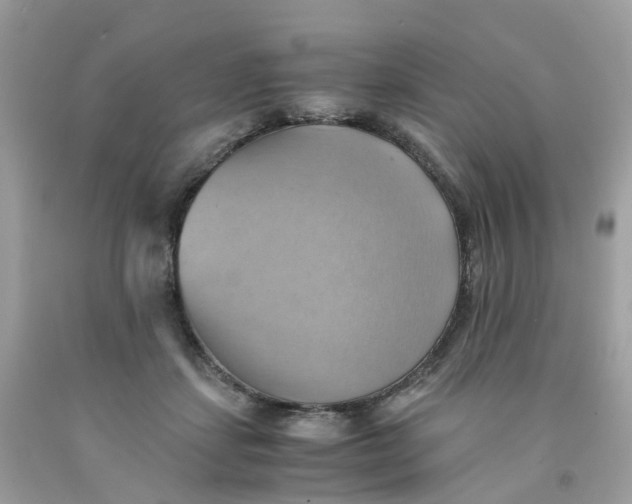 X0000091540459200709141459