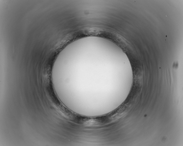 X0000091540460200709141459