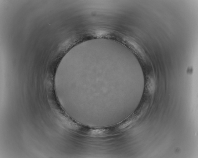 X0000091540461200709141459