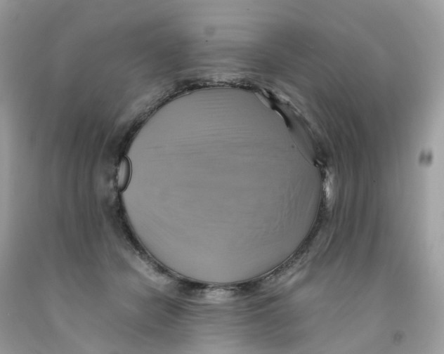 X0000091540462200709141459