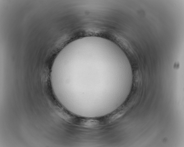 X0000091540463200709141459