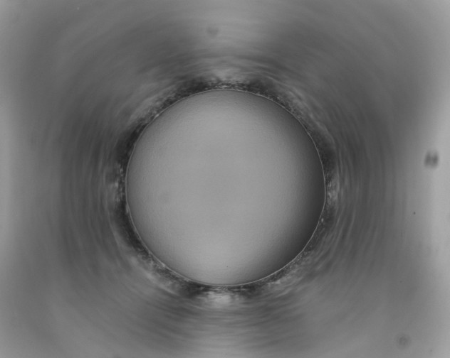 X0000091540464200709141459