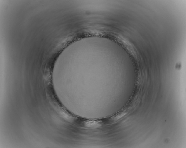 X0000091540465200709141459