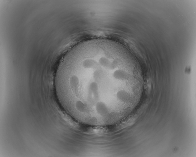 X0000091540466200709141459