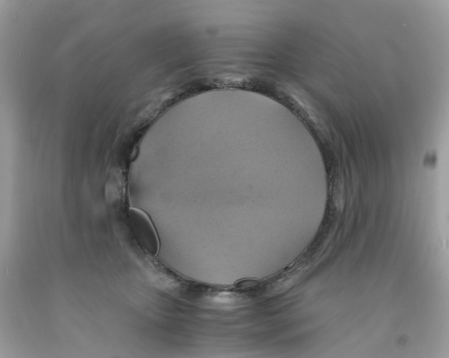 X0000091540467200709141459