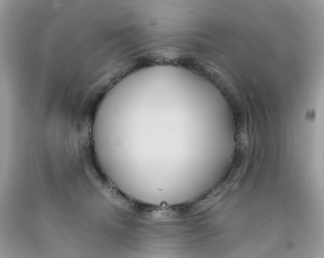 X0000091540468200709141459