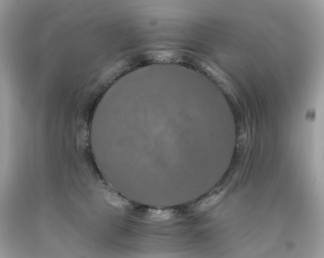 X0000091540469200709141459