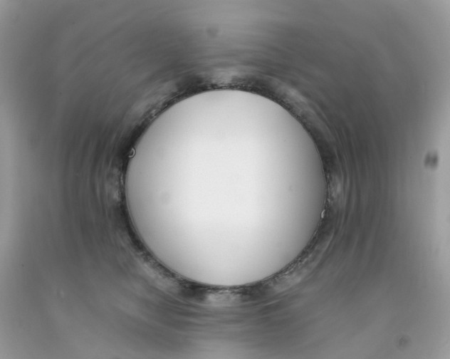 X0000091540470200709141459