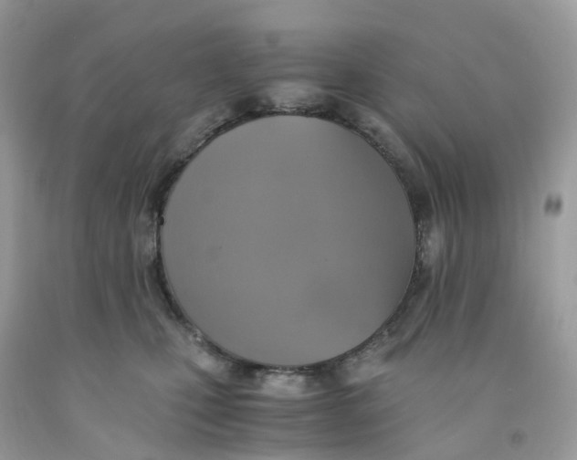 X0000091540471200709141459