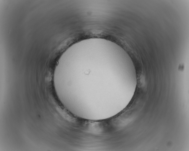 X0000091540472200709141459