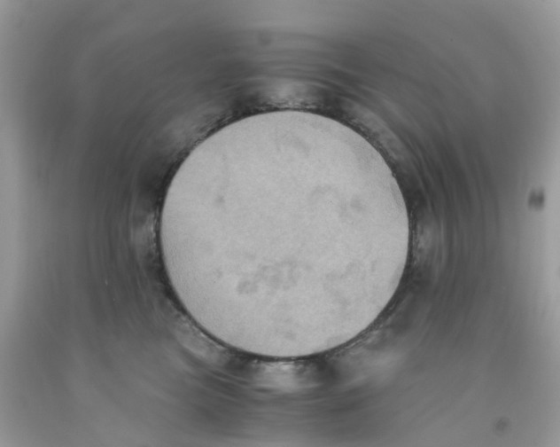 X0000091540473200709141459