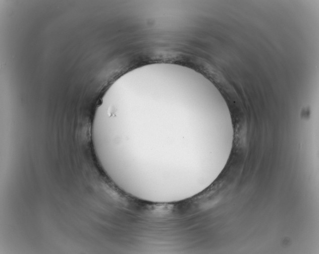 X0000091540474200709141459