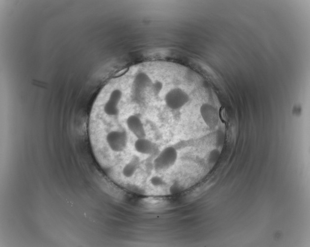 X0000091540477200709141459