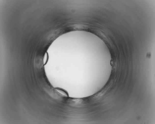 X0000091540478200709141459