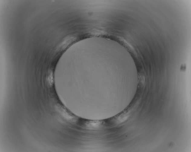 X0000091540479200709141459