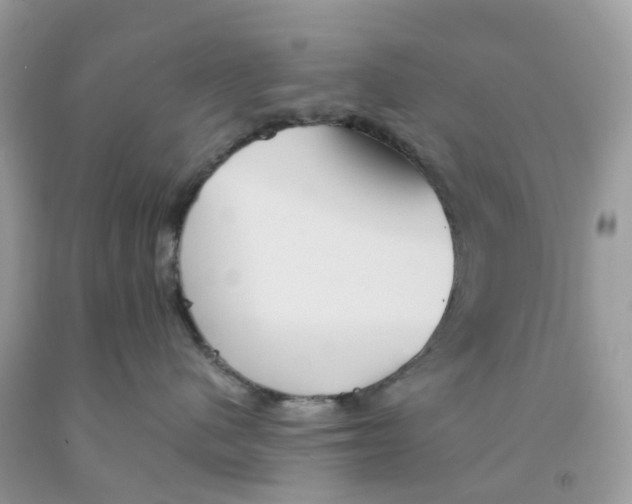 X0000091540480200709141459