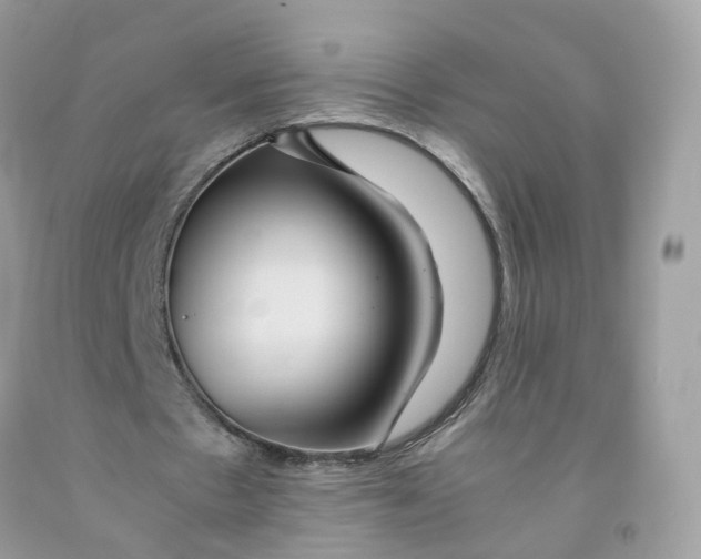 X0000091540481200709141458