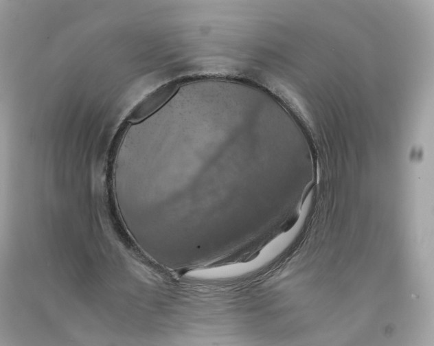 X0000091540483200709141458