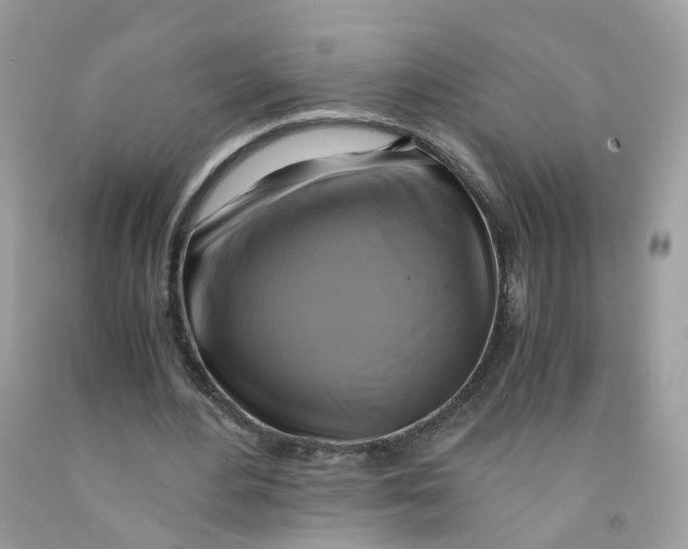 X0000091540484200709141458